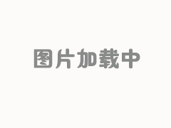 猫杯状抗体 猫杯状单抗 猫杯状单克隆抗体 FCV抗体